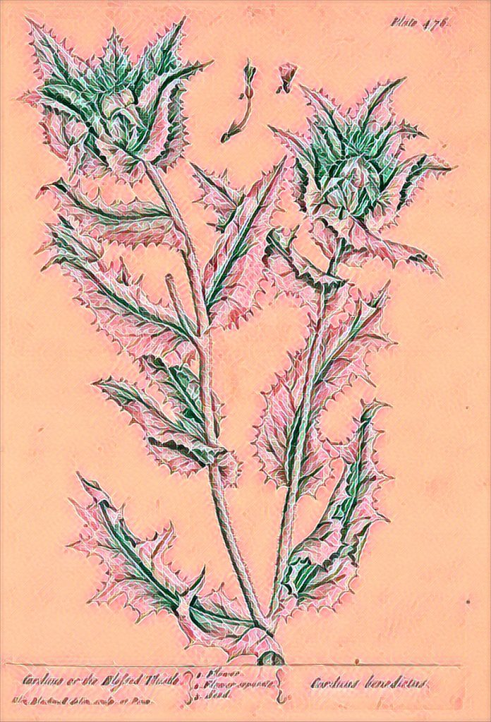 an ancient drawing of an ancient thistle-being, crystalline and luminescent, against a salmon sunrise backdrop